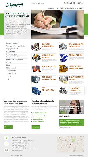 Interneto svetainių kūrimas Panevėžys